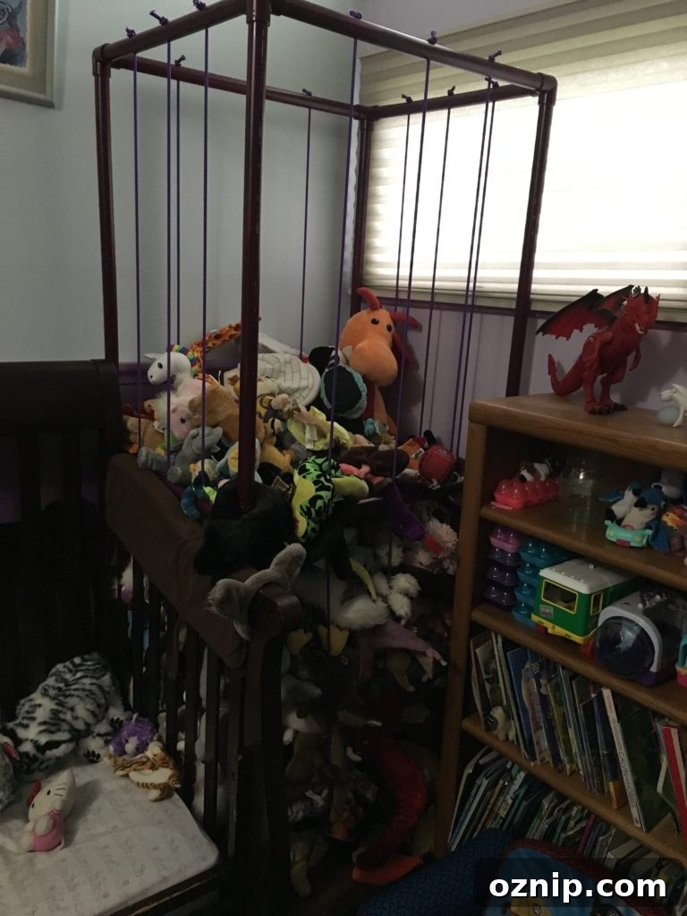 15. Stuffed Animal Zoo