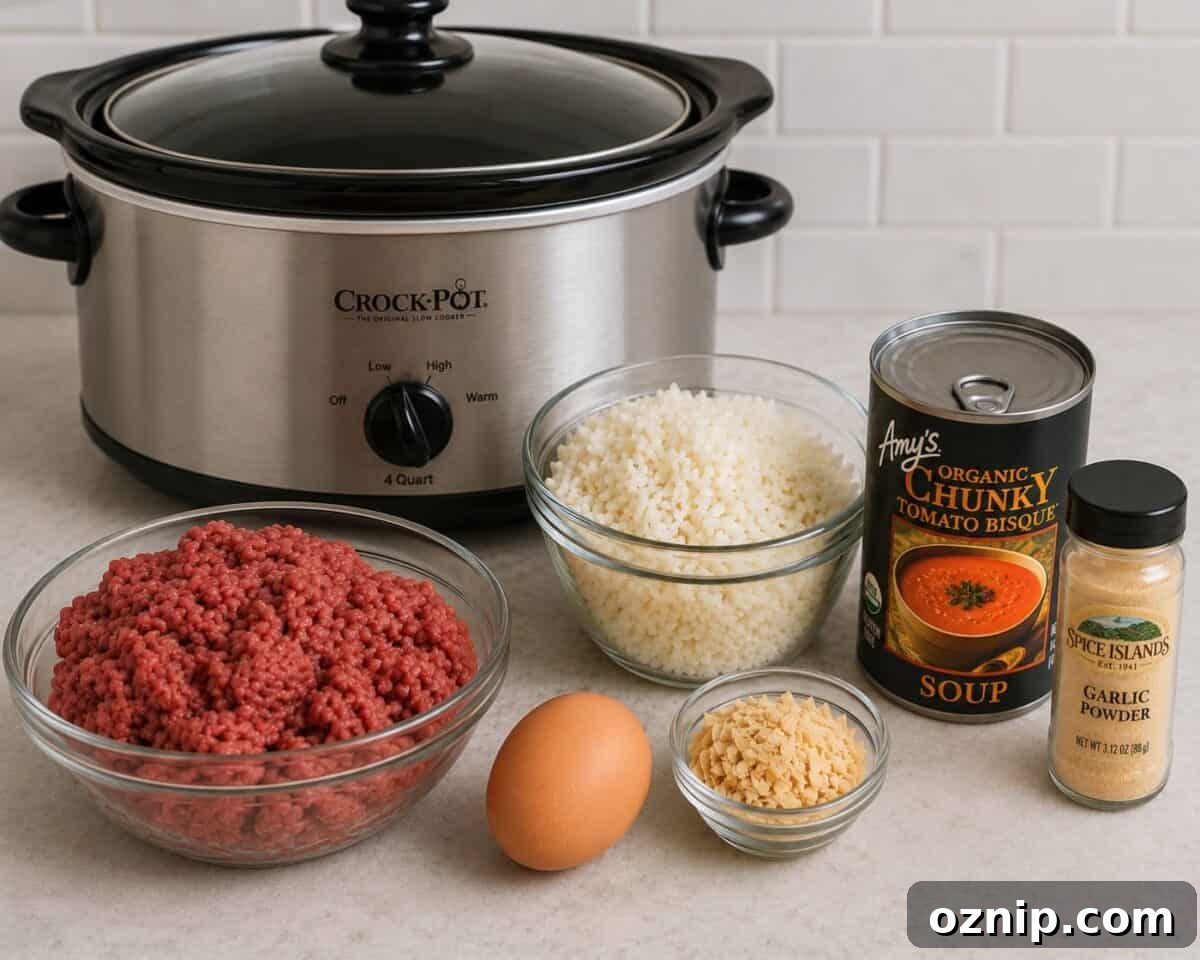 Ingredients including lean ground beef, an egg, cooked rice, dried onion flakes, a can of Amy's Organic Chunky Tomato Bisque and jar of garlic powder in front of a 4-quart slow cooker.