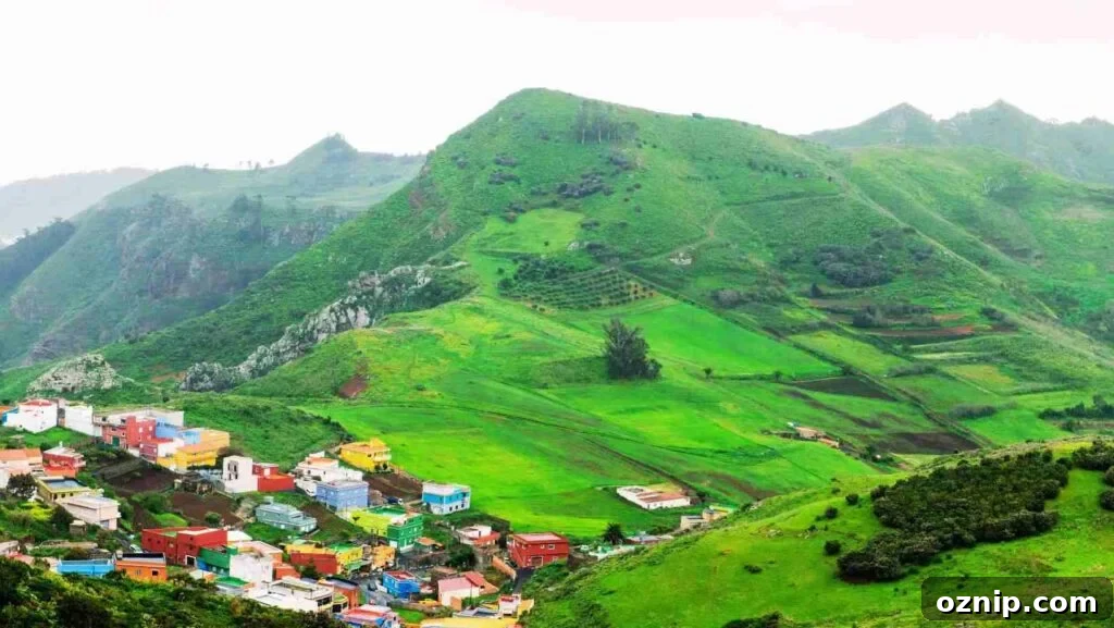 Hotel Management Institutes in Uttarakhand: Admissions & Courses 2 Hotel Management Institute in Uttarakhand