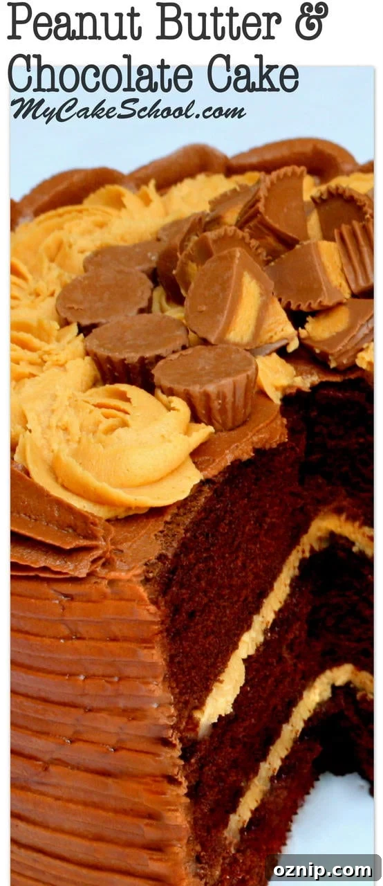 Peanut Butter and Chocolate Cake Recipe from Scratch! A favorite from MyCakeSchool.com's recipe section! Moist and delicious Peanut Butter and Chocolate Cake Recipe by MyCakeSchool.com! Amazing chocolate cake layers with peanut butter buttercream and chocolate buttercream. My Cake School Online Cake Recipes, cake tutorials, and more!