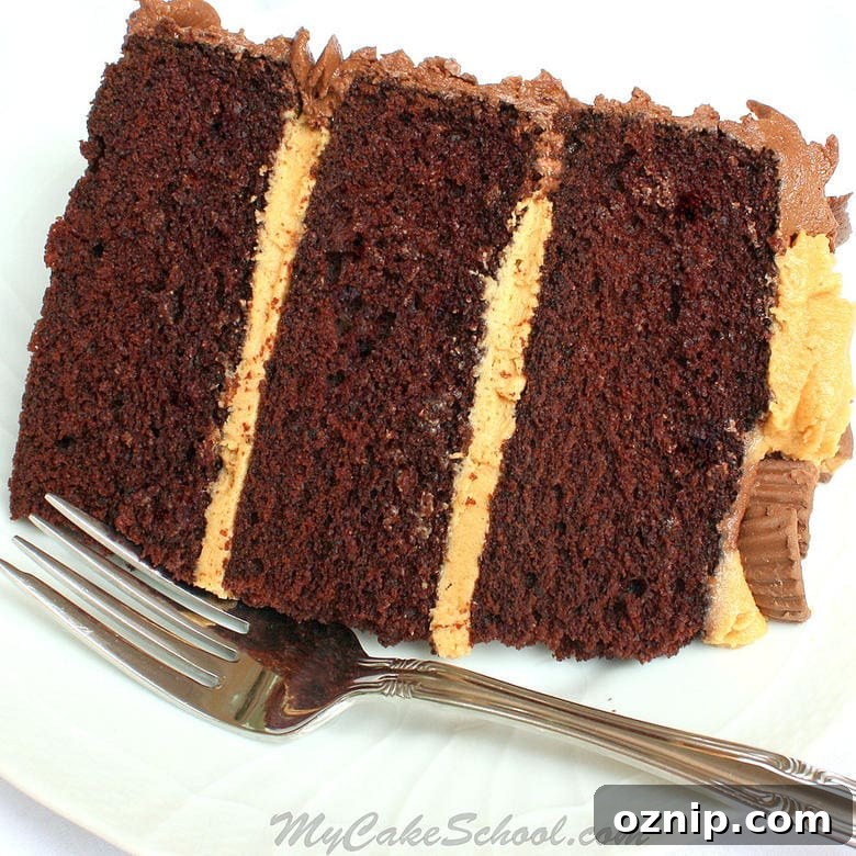 Moist and Delicious Peanut Butter and Chocolate Cake Recipe by MyCakeSchool.com! From My Cake School's collection of favorite Cake Recipes! Delicious Peanut Butter and Chocolate Cake Recipe by MyCakeSchool.com! This is cake is always a crowd pleaser! MyCakeSchool.com cake recipes, cake tutorials, and more!