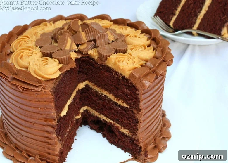 Moist and Flavorful Peanut Butter and Chocolate Cake Recipe by MyCakeSchool.com! If you love Reese's Cups, you NEED this recipe! Yum! Moist and delicious Peanut Butter and Chocolate Cake Recipe from scratch! Recipe by MyCakeSchool.com. Online cake tutorials, cake recipes, videos, and more!