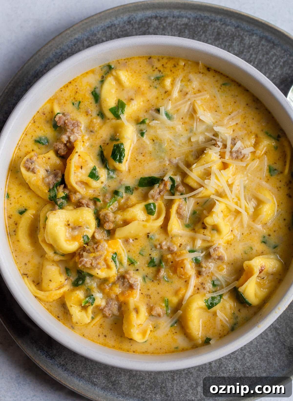 Creamy Butternut Squash and Sausage Tortellini Soup in a shallot bowl on a speckled dark gray plate.