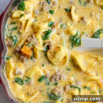 Creamy Butternut Squash and Sausage Tortellini Soup