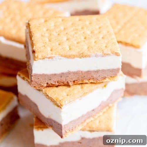 Frozen S'Mores Bars