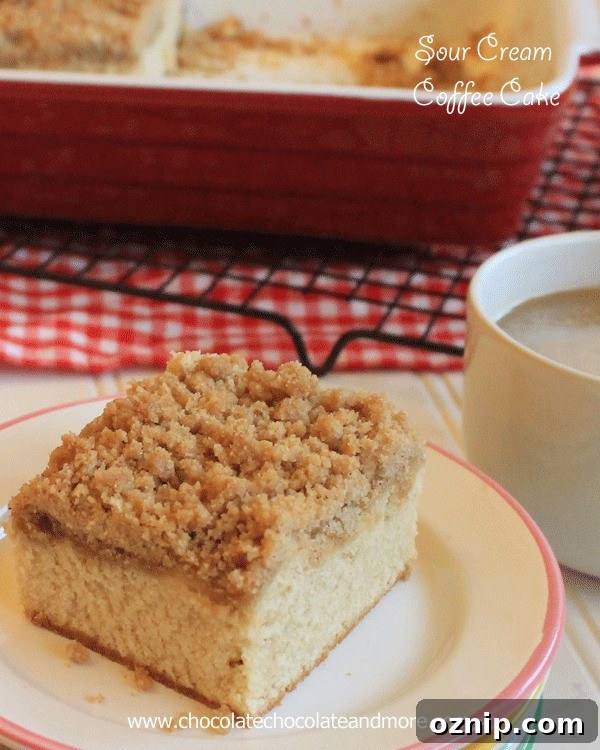Sour Cream Coffee Cake crumb topping close-up