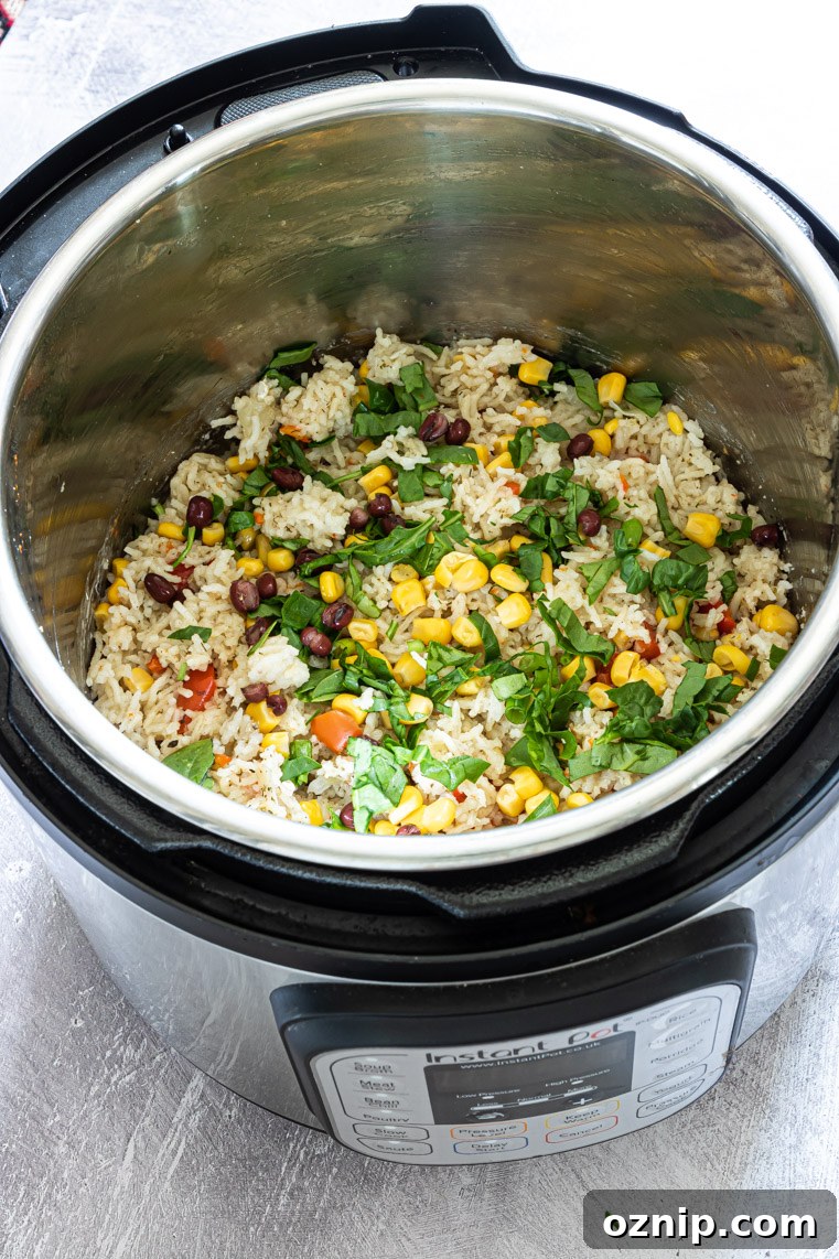 the finished Instant Pot Rice recipe inside the Instant Pot