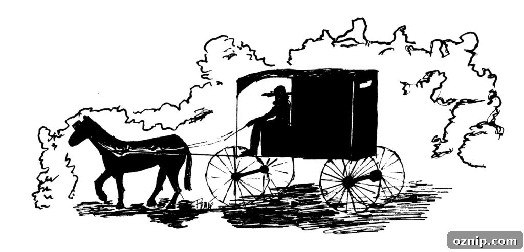 This image has an empty alt attribute; its file name is buggy1.jpg