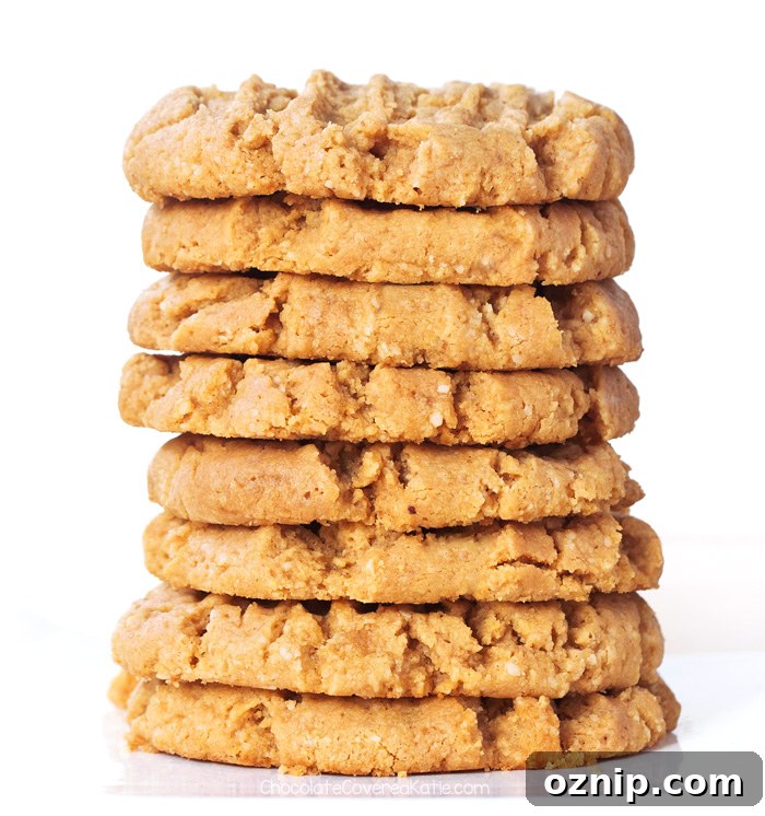 Vegan Peanut Butter Cookies Recipe Vegan Peanut Butter Cookies Recipe