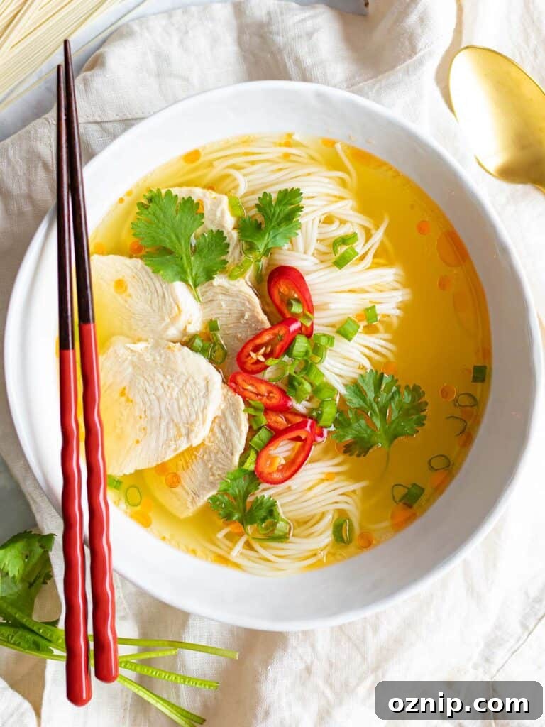 a bowl of easy Asian chicken noodle soup with red chopsticks, fresh herbs, red chilis, and chicken breast