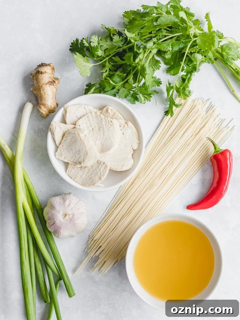 ingredients for Asian chicken noodle soup, cilantro, chicken breast, chili pepper, scallions, garlic, and ginger