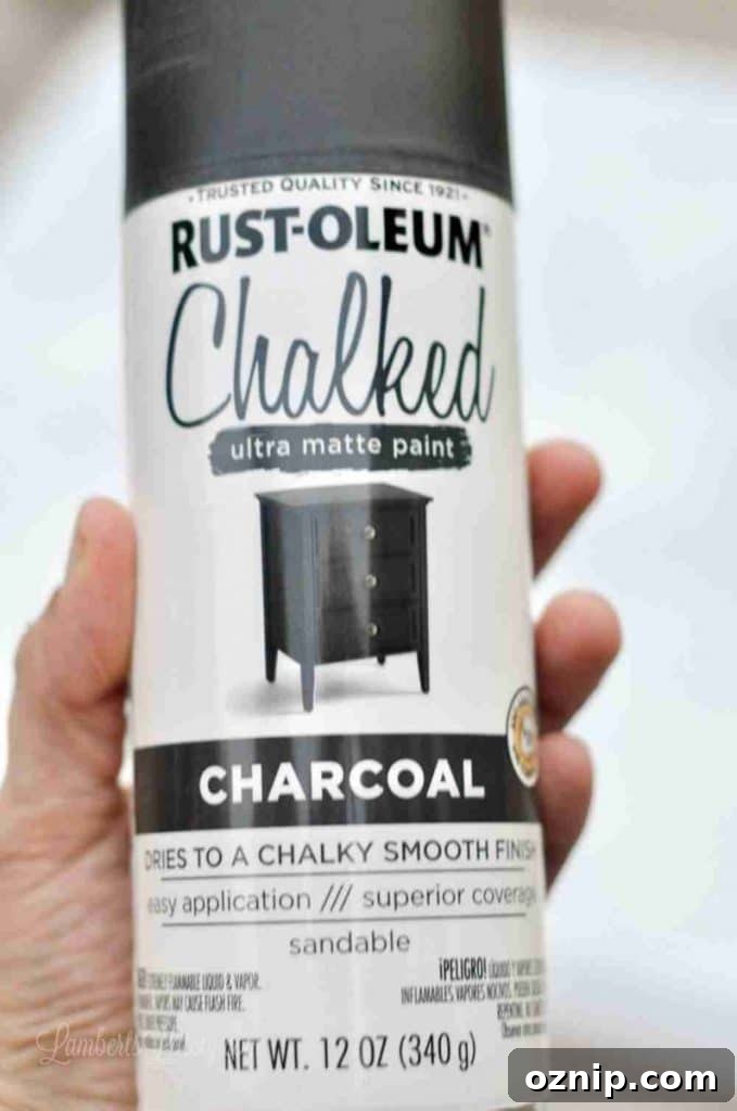 holding a bottle of rust-oleum chalked charcoal spray paint.