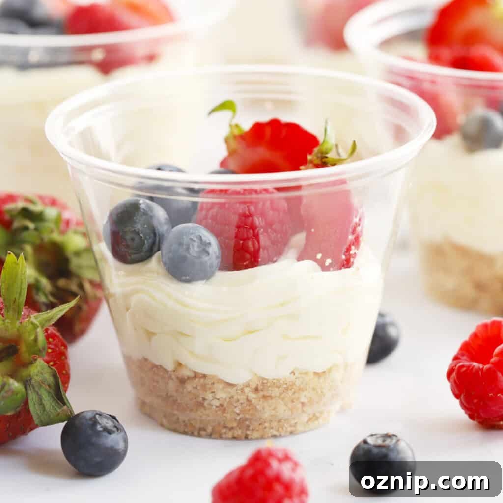 mini cheesecake recipe