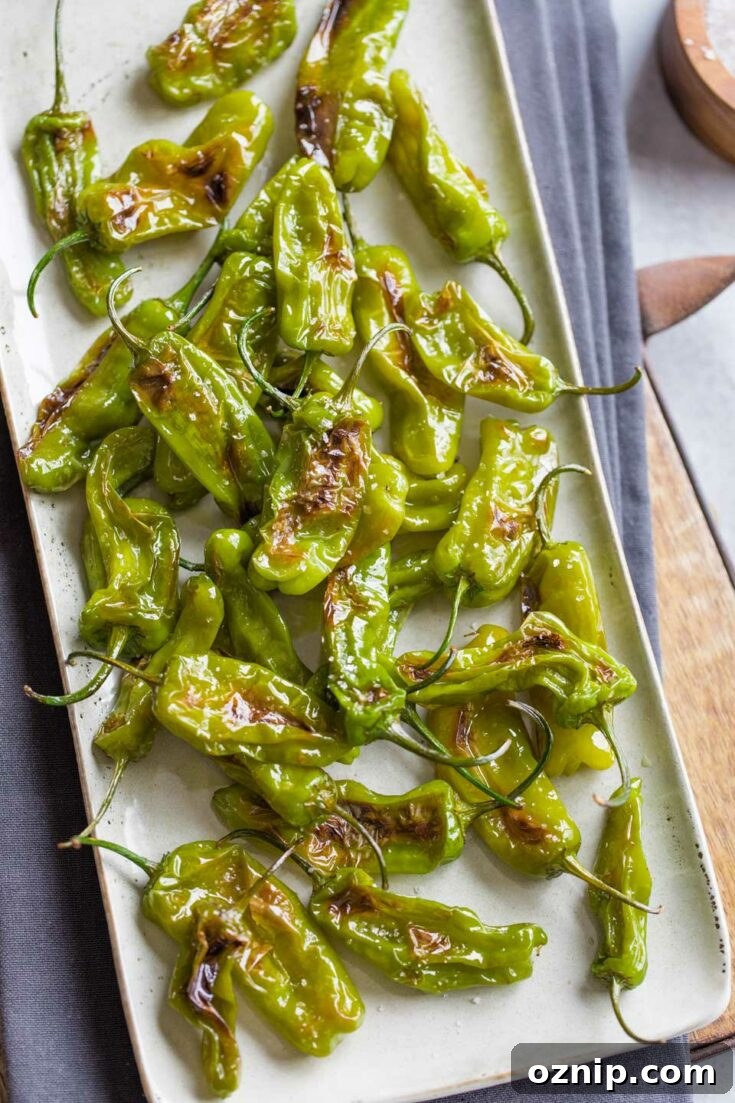 Top 10 Recipes of 2021: Most Popular Dishes Revealed 17 A platter of blistered shishito peppers on gray cloth and wooden tray.
