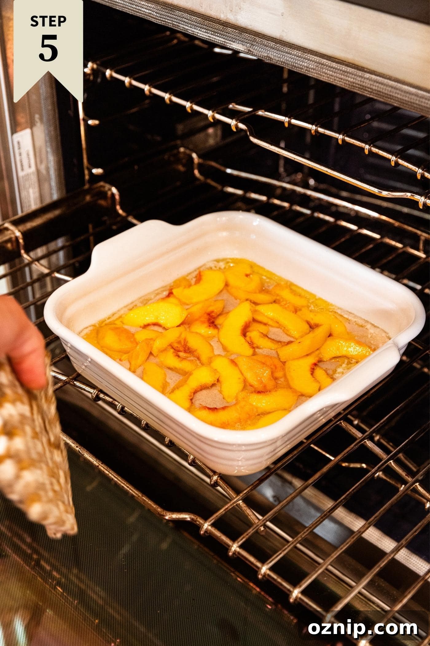 Hand pushing white baking dish filled with unbaked peach cobbler into preheated oven.