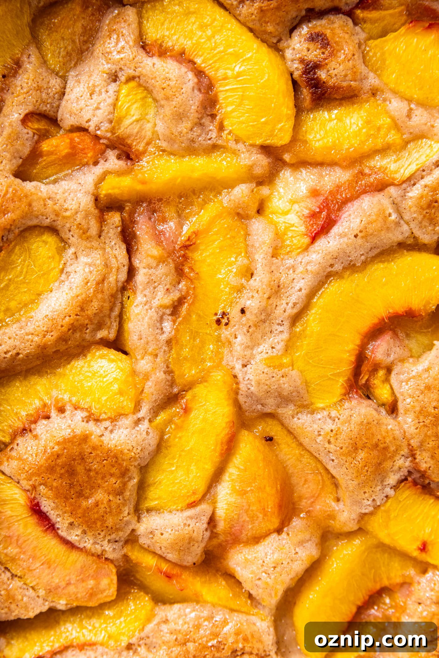 Top of peach cobbler after coming out of the oven showing golden top and slices of peaches.