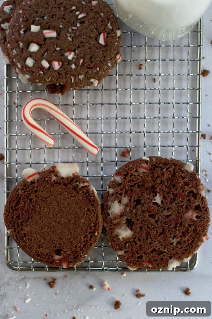 Double Peppermint Chocolate Cookie Recipe 11 comparison of two double peppermint chocolate cookie bottoms