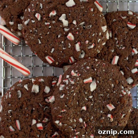 double peppermint chocolate cookies on a cooling rack