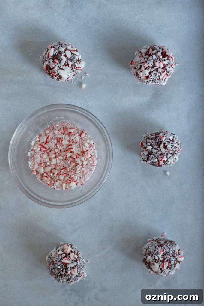 Double Peppermint Chocolate Cookie Recipe 10 cookie dough balls rolled in peppermint on a baking pan