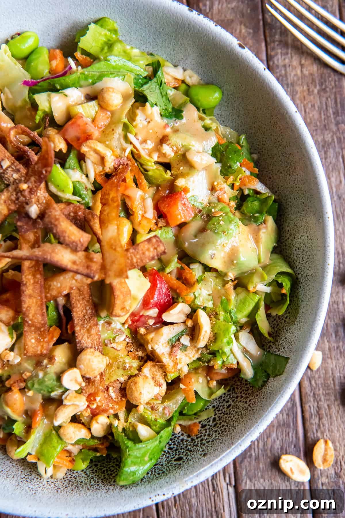 A top down shot of a salad with chicken, edamame, peanut dressing and wonton strips.