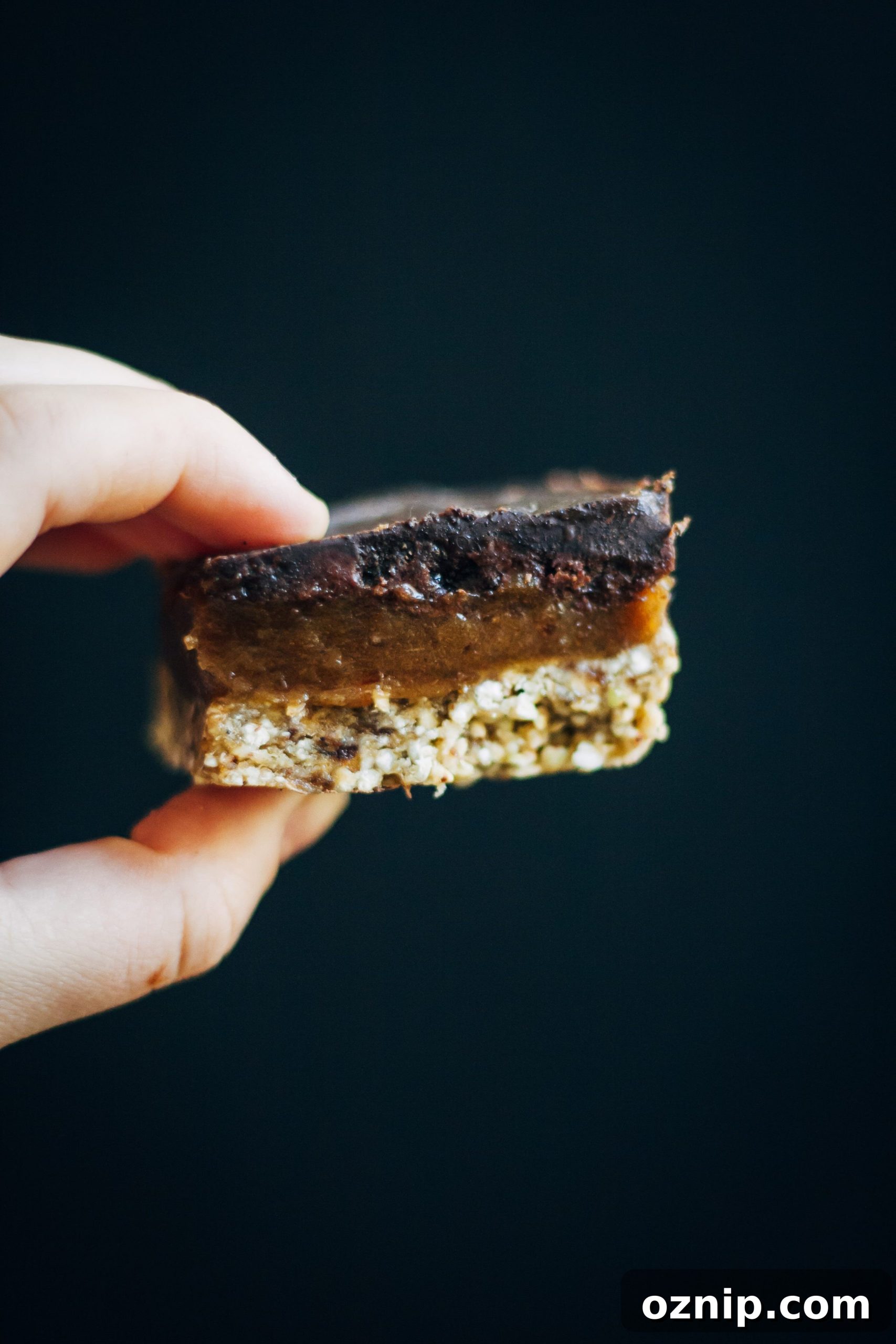 Raw Mocha Caramel Slice | Well and Full | #raw #vegan #recipe