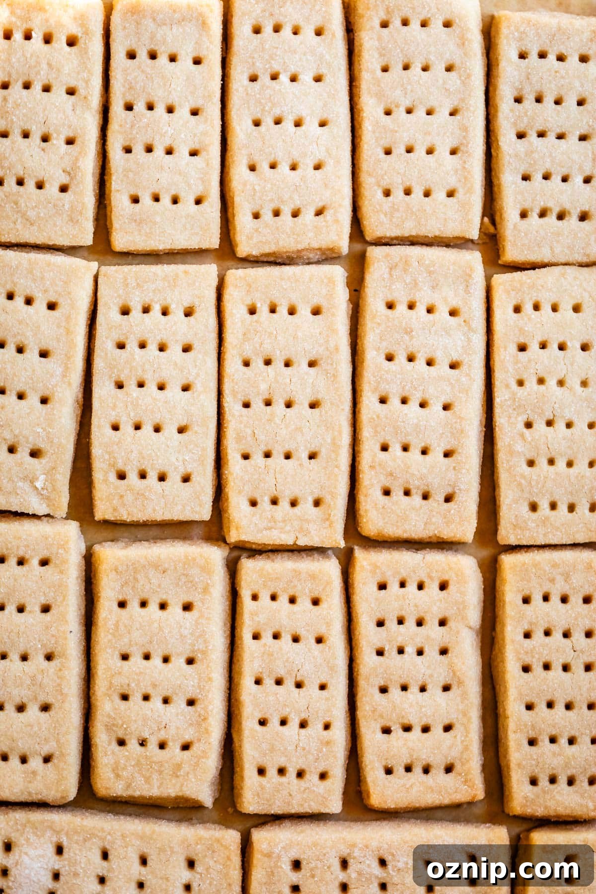 Classic Homemade Buttery Shortbread Cookies 3 overhead shot of lined up rectangular shaped shortbread cookies with fork marks.