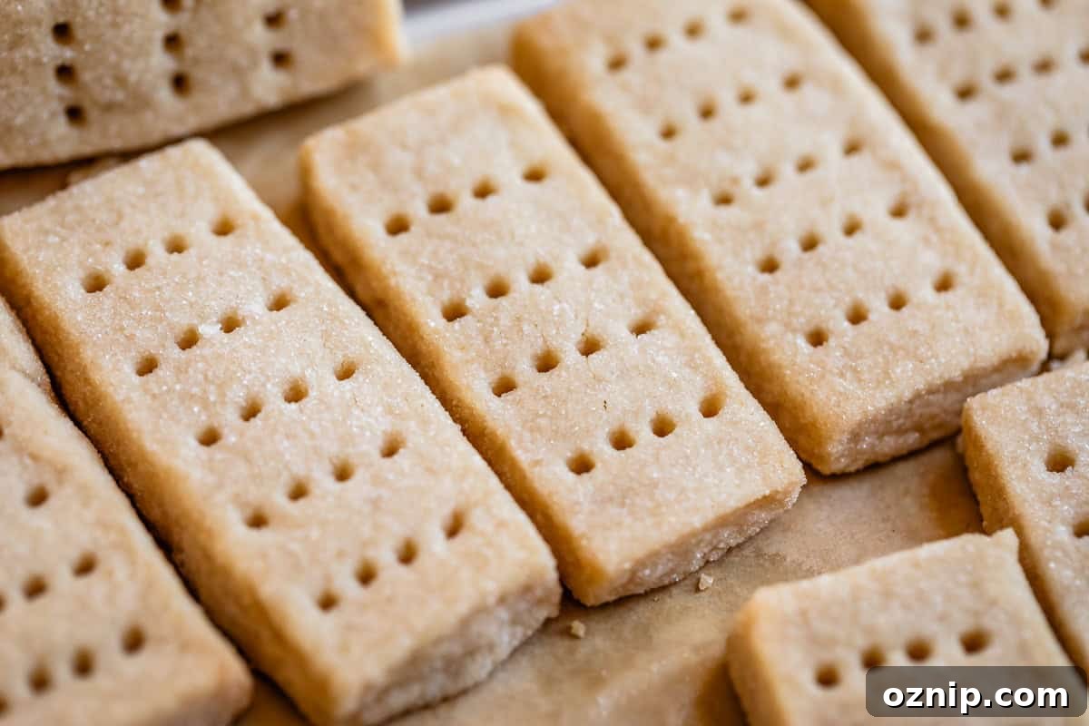 Classic Homemade Buttery Shortbread Cookies 14 horizontal photo of shortbread finger cookies lined up in a row with fork marks.
