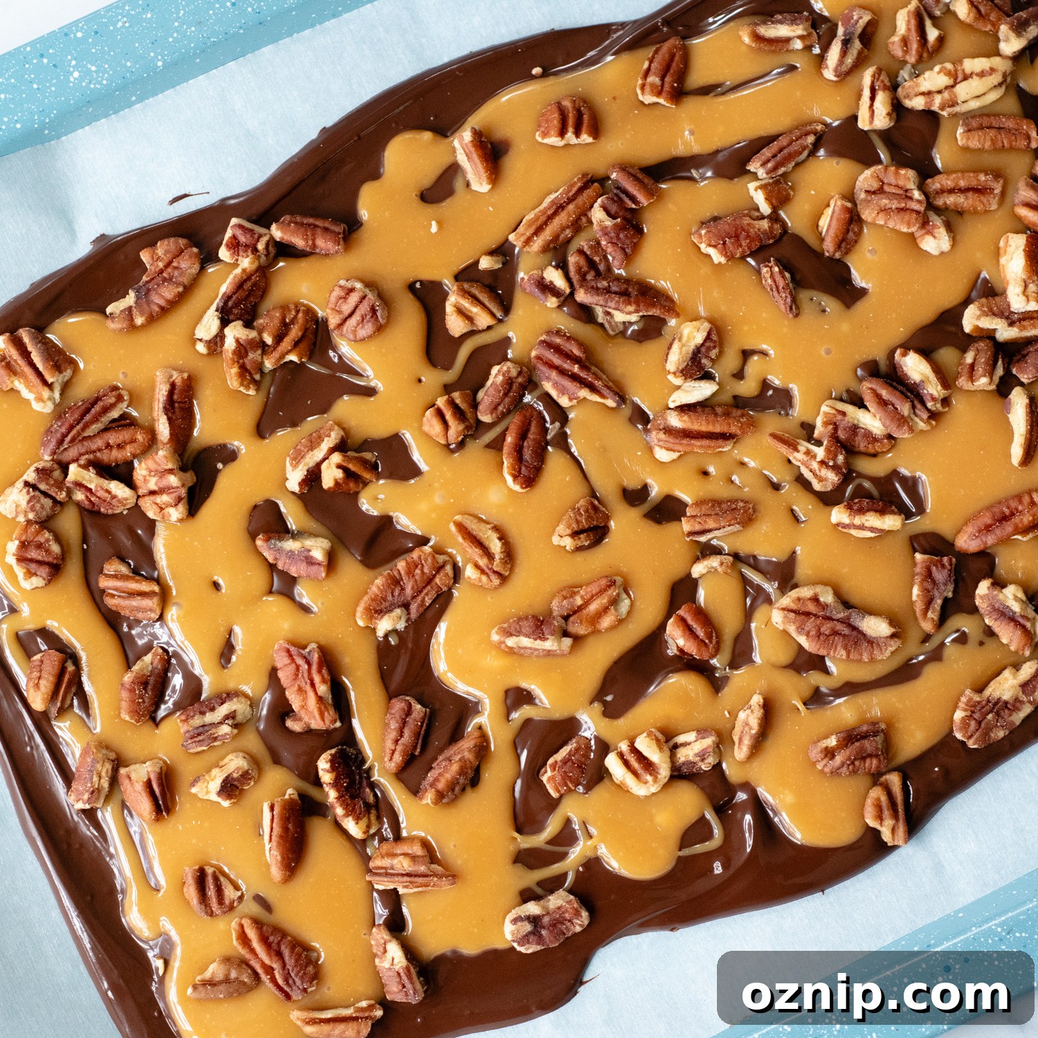 the caramel and pecans drizzled on top of the bottom chocolate layer.