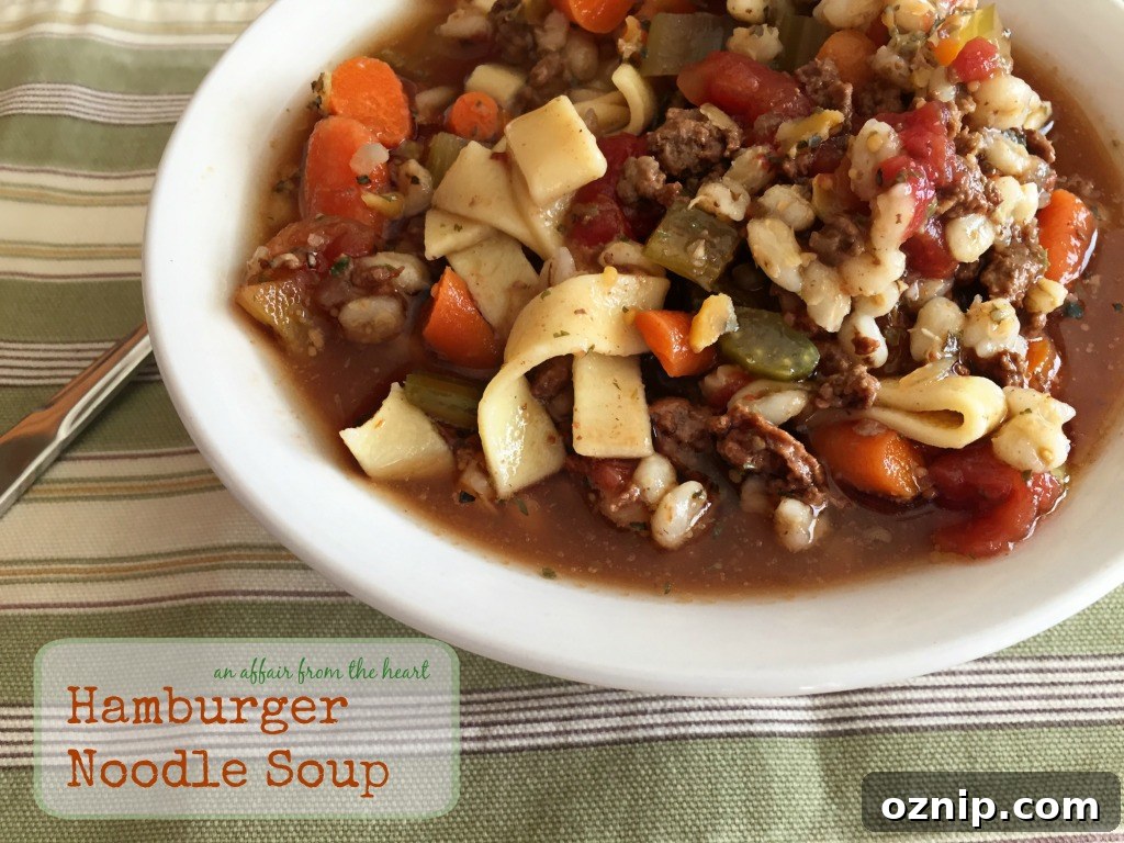 10 Savory Recipes from 2015 Worth Revisiting 9 Hamburger Noodle Soup