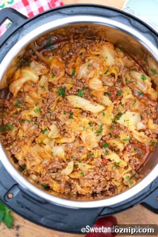 instant pot cabbage stew with ground beef