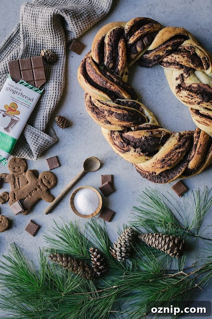 easy chocolate gingerbread babka