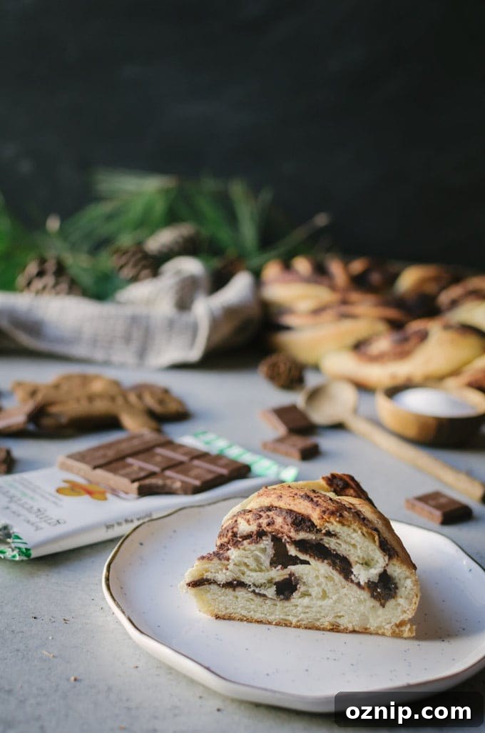 chocolate gingerbread babke