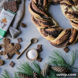 easy chocolate gingerbread babka