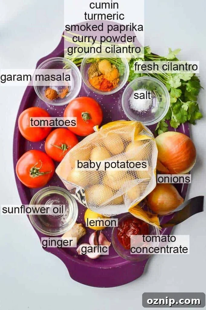 Restaurant Style Bombay Potatoes Recipe 5 A purple platter with ingredients on it including spices, tomatoes, cilantro, salt, baby potatoes, onions, tomato paste, lemon, garlic, ginger and oil