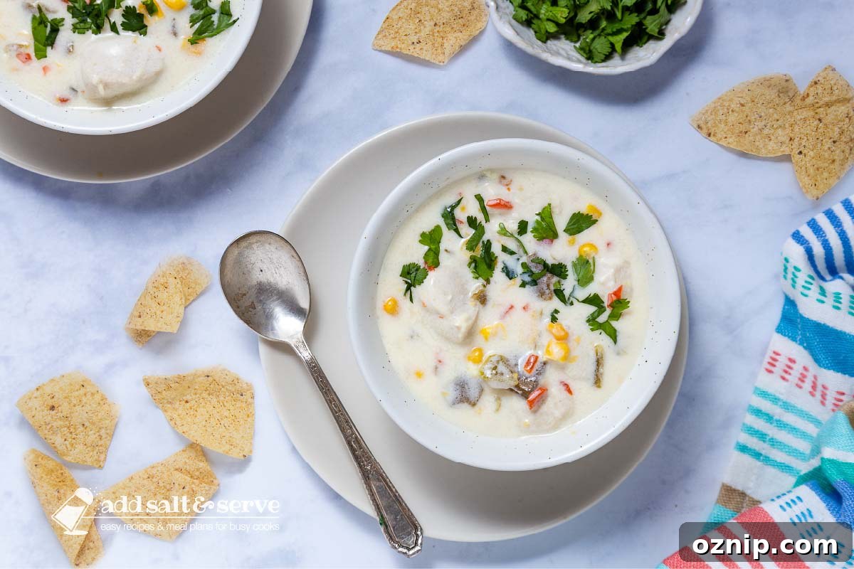 Southwest Chicken Corn Chowder Recipe 8 Two bowls of Southwest Chicken Corn Chowder on saucers with cilantro and tortilla chips to the side.