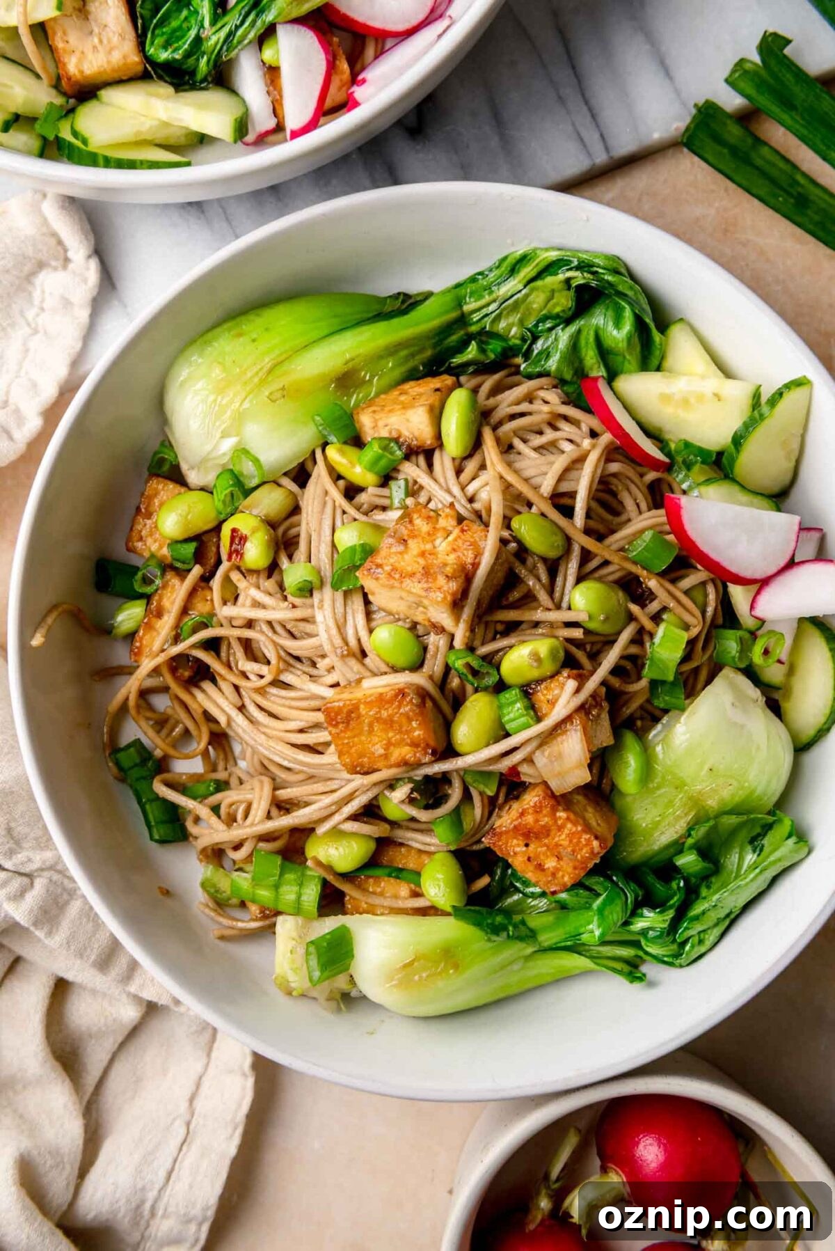Sesame-Ginger Tofu Soba Noodles 10 Top-down view of a soba noodle bowl with seared tofu cubes, edamame beans, bok choy, cucumber, and radishes arranged around the noodles.