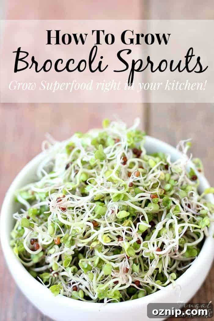 Image shows a bowl of broccoli sprouts with copy that reads 
