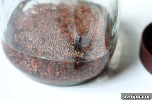 Image shows broccoli seeds soaking in water in a mason jar, waiting to sprout