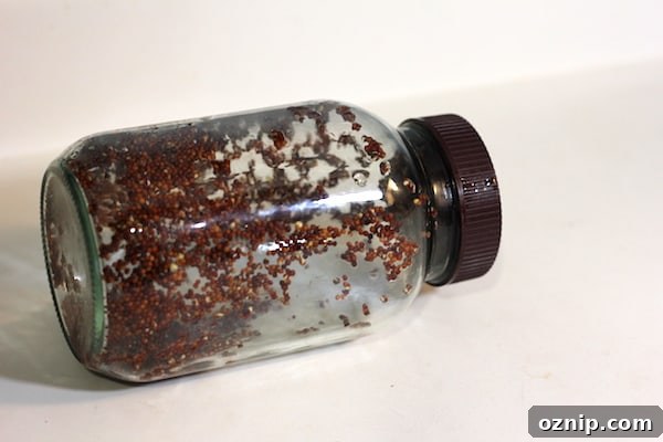 Image shows a mason jar on it's side, with seeds waiting to sprout