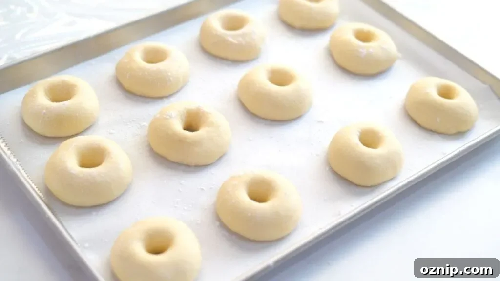Fluffy Fried Doughnuts from Scratch 7 proofing doughnuts