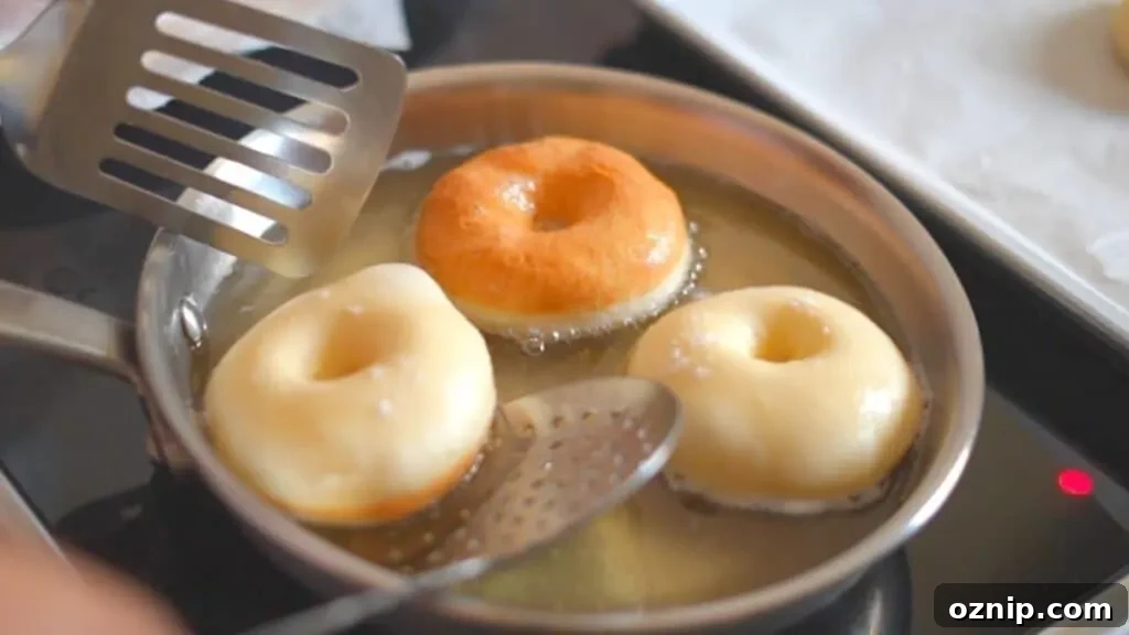Fluffy Fried Doughnuts from Scratch 8 fried donut recipe