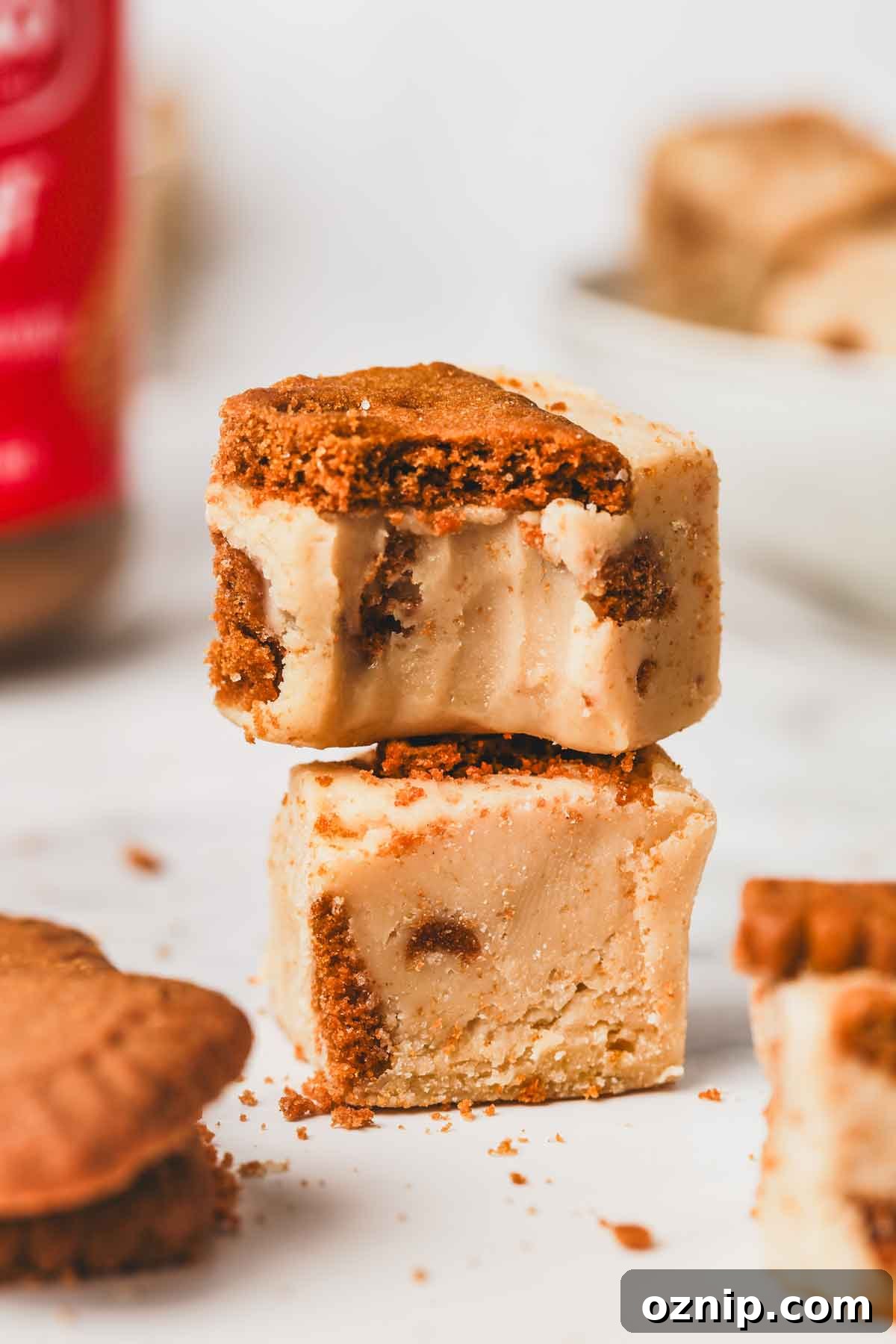 Speculoos Cookie Butter Fudge Recipe 9 morceaux de fudge au spéculoos