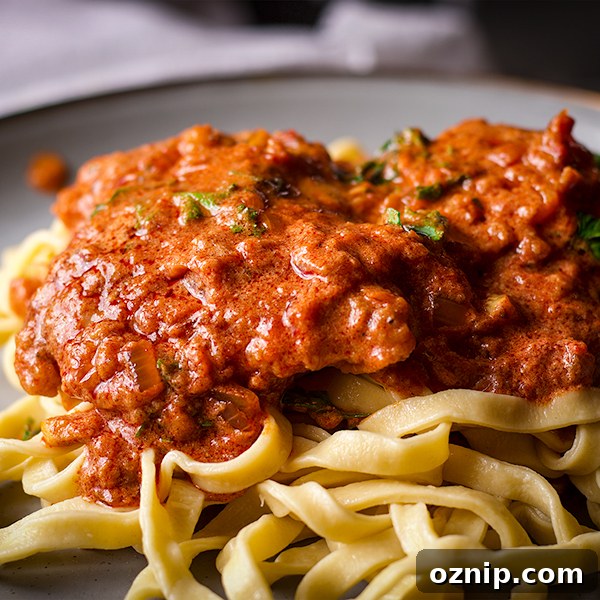 A plate of Chicken Paprikash with Buttered Egg Noodles.
