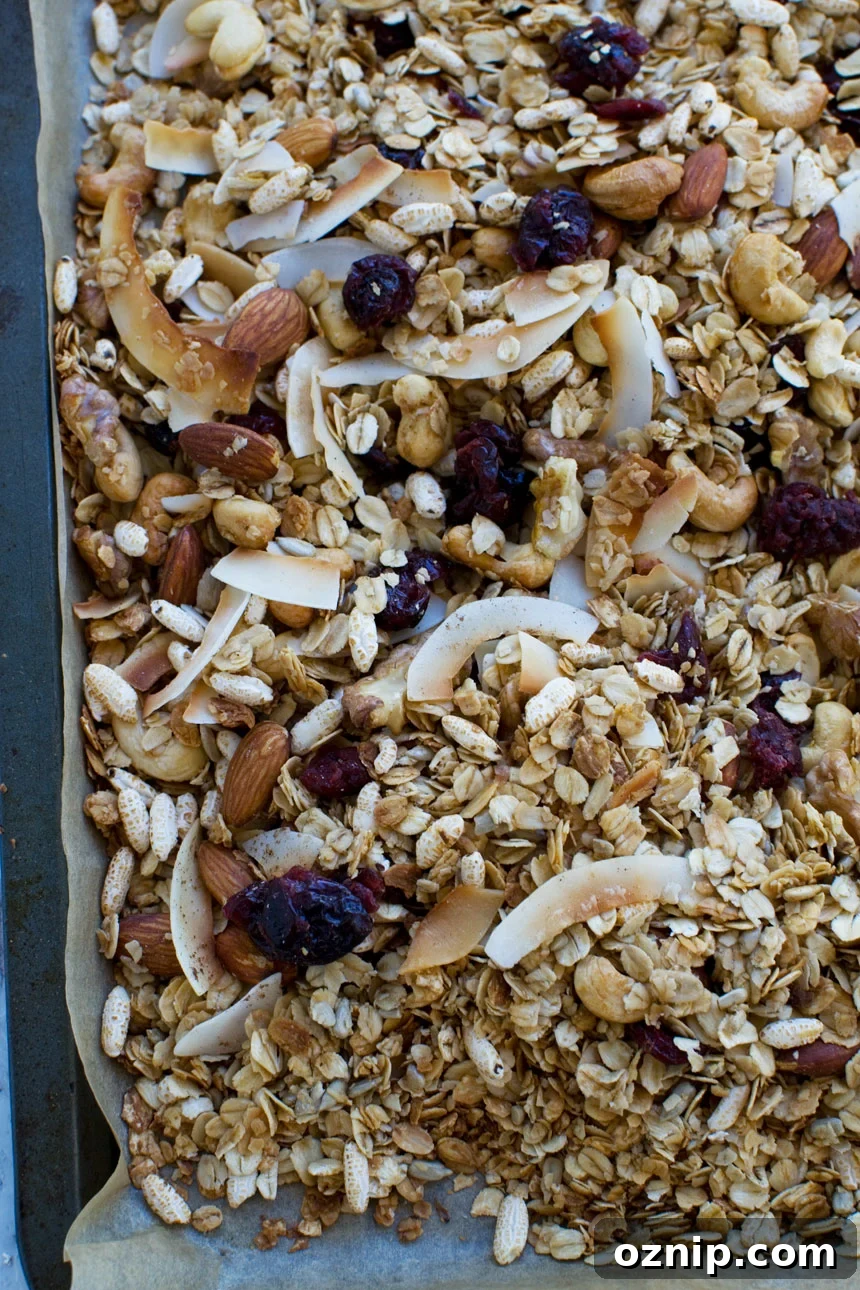 Homemade Low Sugar Granola: Crunchy Morning Recipe 6 A close up of homemade granola on a baking tray