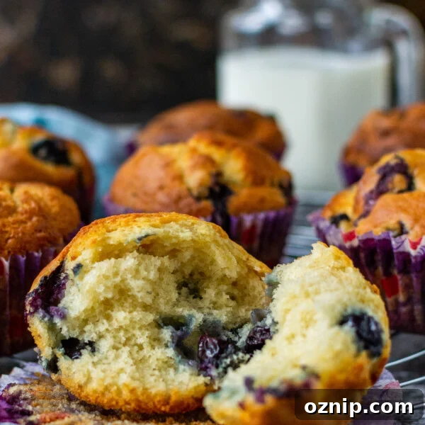 The inside of a fluffy Greek yogurt blueberry muffin on a paper liner