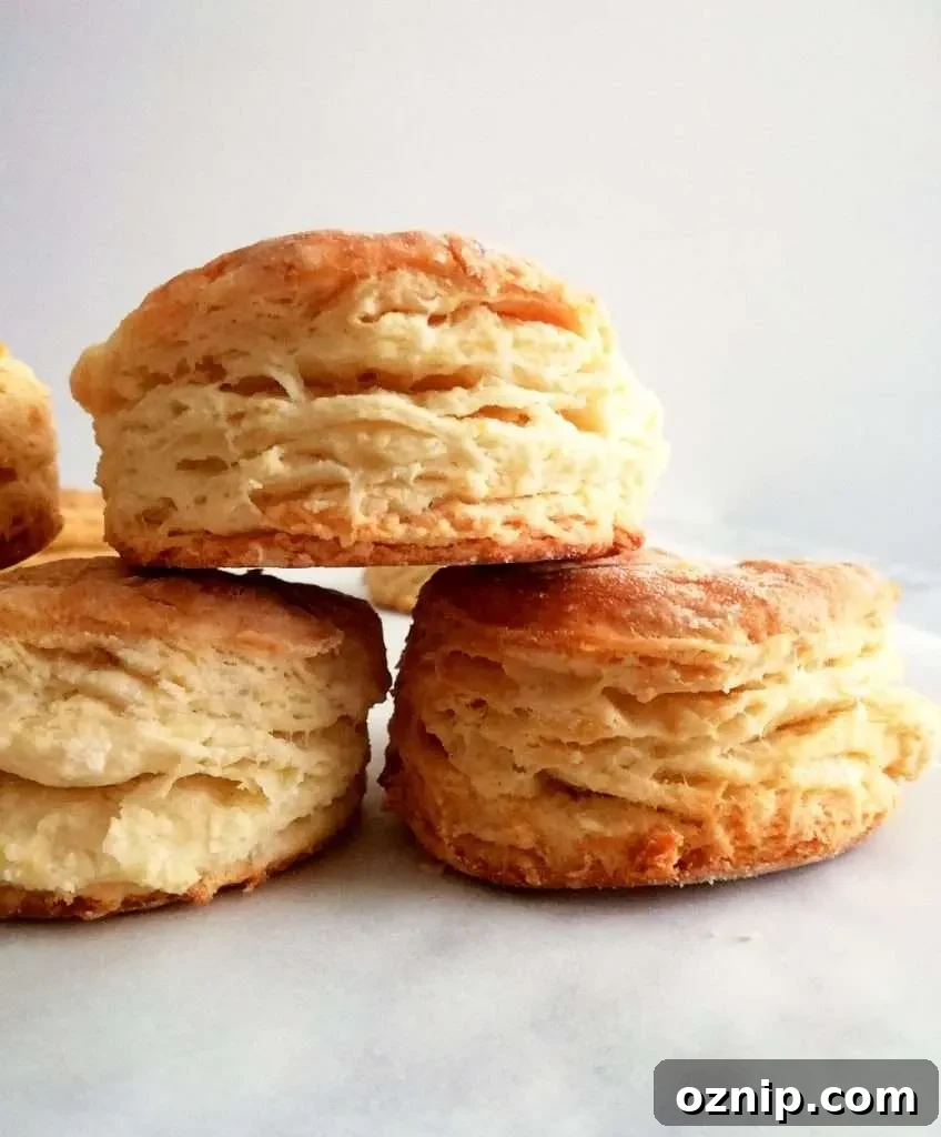 Top 7 Thanksgiving Side Dishes to Make This Year 4 rolled buttermilk biscuits stacked side view