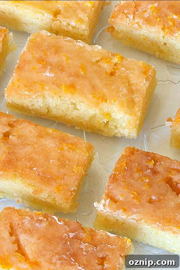 Orange Brownies Orange Brownies