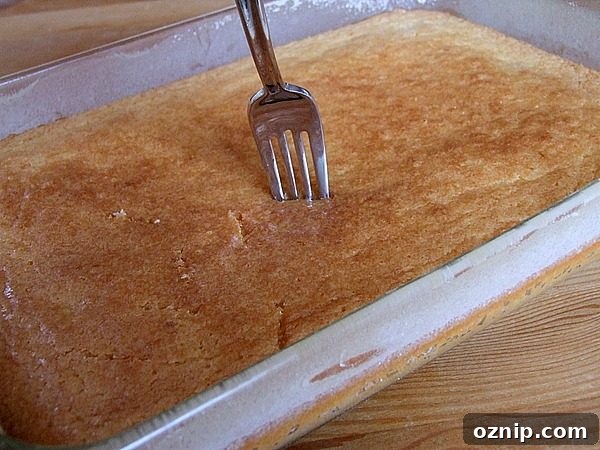 Preparing Orange Brownies Preparing Orange Brownies