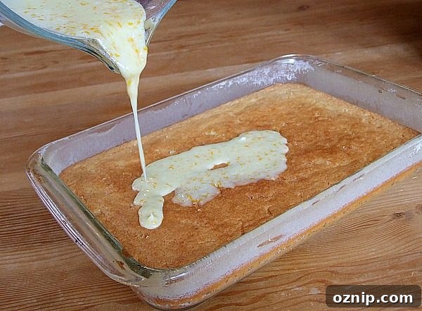 Adding glaze to Orange Brownies Adding glaze to Orange Brownies