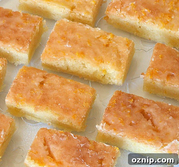 Orange Brownies Orange Brownies